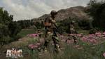 Arma-2-british-armed-forces-2