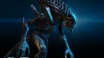 Aliens-vs-predator-evolution-1353496737545412