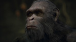 Planet-of-the-apes-last-frontier-1503069037374904