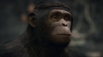 Planet-of-the-apes-last-frontier-1503069037374905