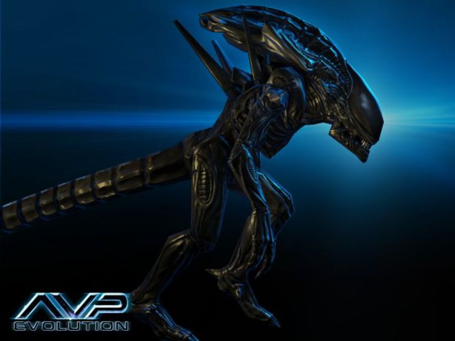 Aliens-vs-predator-evolution-1353496737545407