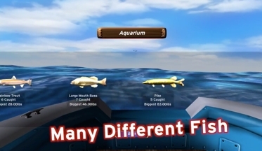Fast-fishing-video-1