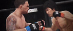 Видео EA Sports UFC про Брюса Ли (русские субтитры)