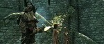 Видео The Elder Scrolls 5: Skyrim – конкурс бикини