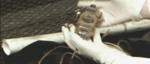 Тизер-трейлер DLC Burial at Sea для BioShock Infinite - посылка из моря