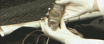Тизер-трейлер DLC Burial at Sea для BioShock Infinite - посылка из моря (русские субтитры)